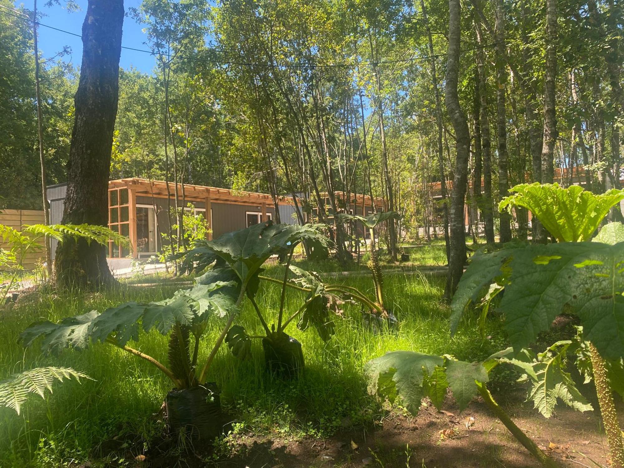 Casa de férias Boker Tov Pucón